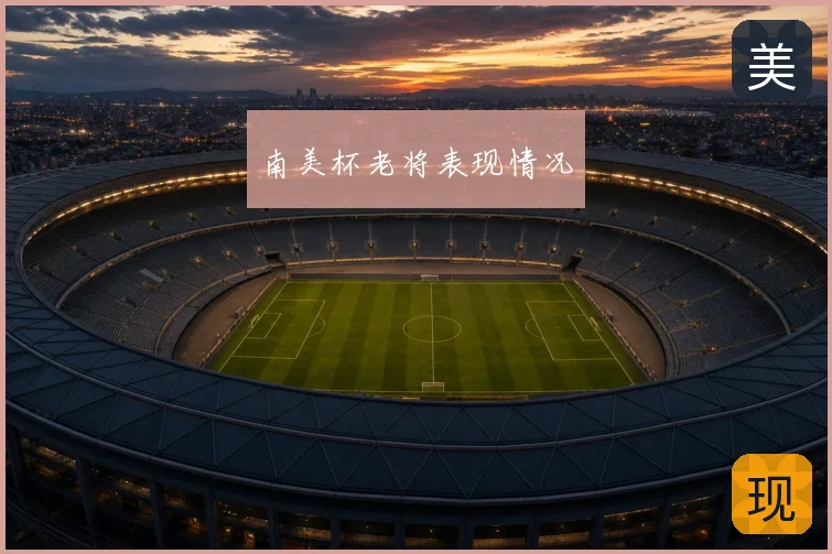 南美杯老将表现情况